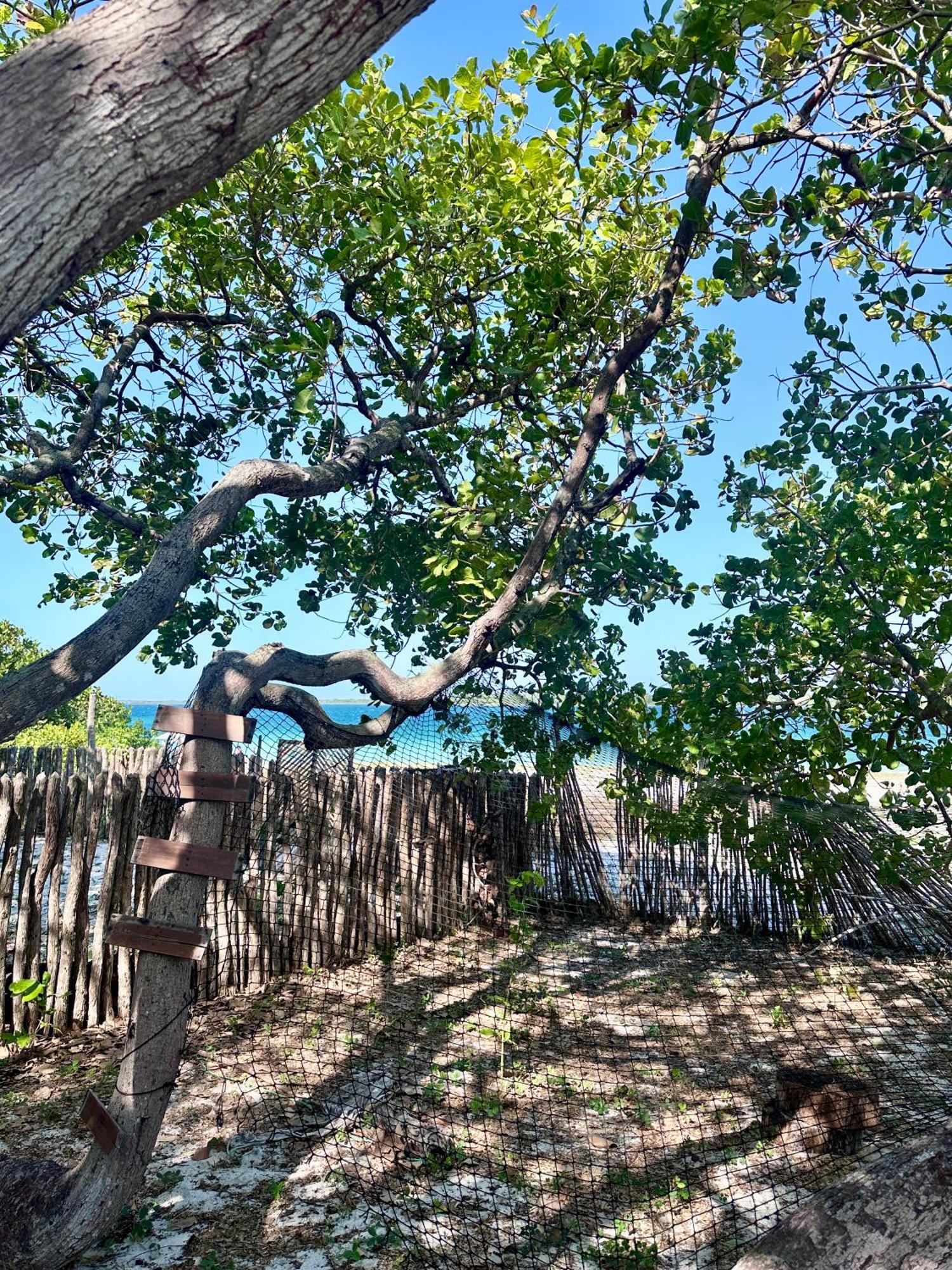 فيلا Manay Lagoa Do Paraiso, Casa 2 Quartos Na Beira Da Lagoa جيجوكا دي جيريكواكوارا المظهر الخارجي الصورة